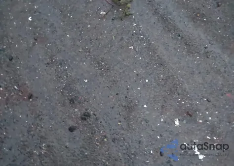 2025 Nissan Pathfinder S 4Wd z USA, uszkodzony, nr VIN 5N1DR3AC8SC312341